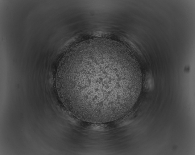 X0000091680569200708301522