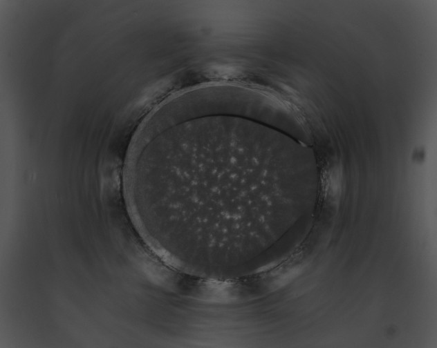 X0000091680570200708301522