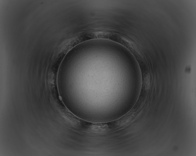 X0000091680571200708301522