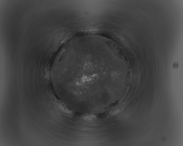 X0000091680576200708301522