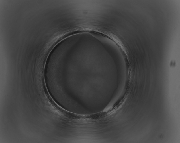 X0000091680577200708301521