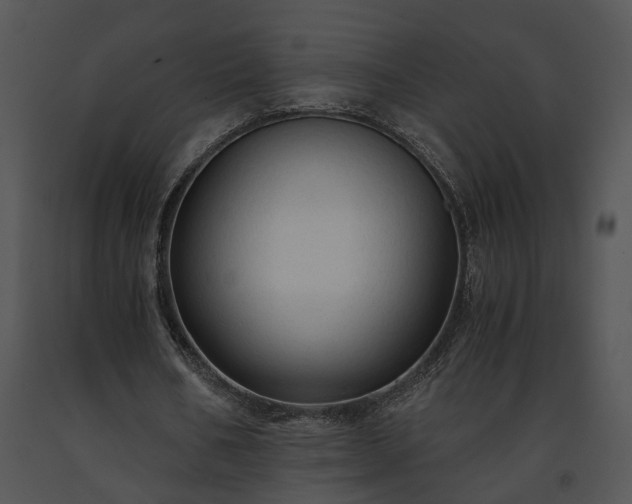X0000091680578200708301521
