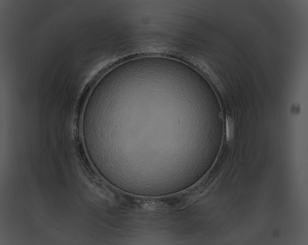 X0000091680579200708301521