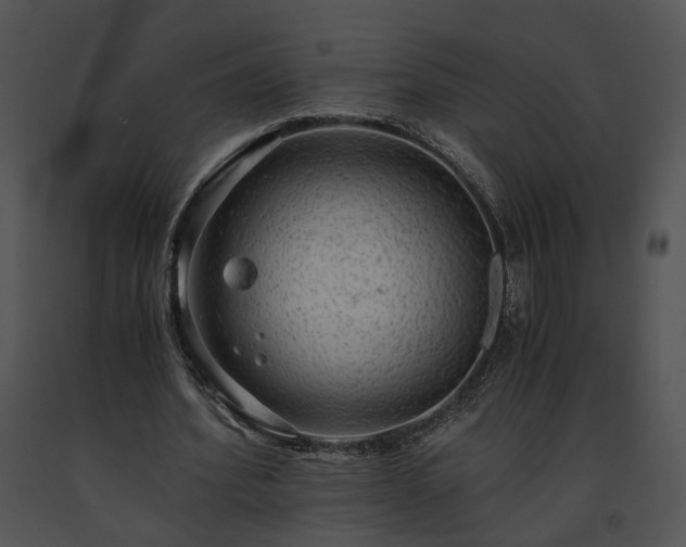 X0000091680580200708301521