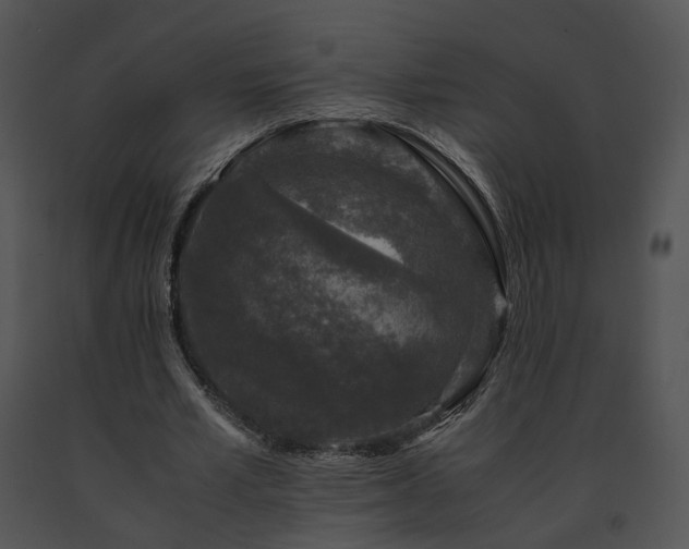 X0000091680581200708301521