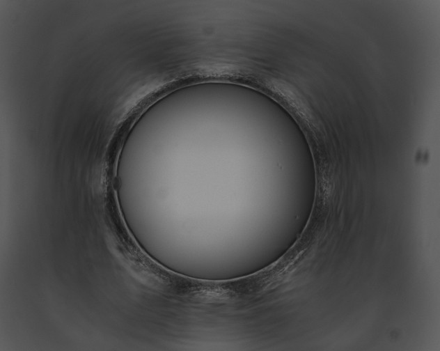 X0000091680583200708301521