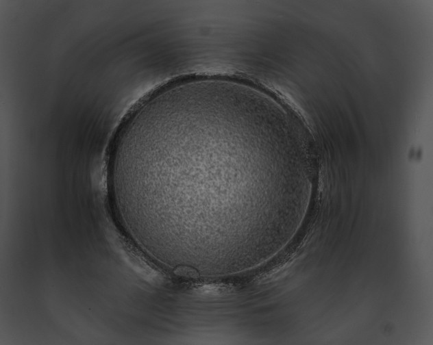 X0000091680584200708301521