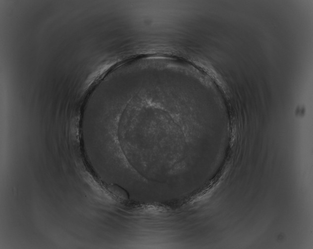 X0000091680585200708301521