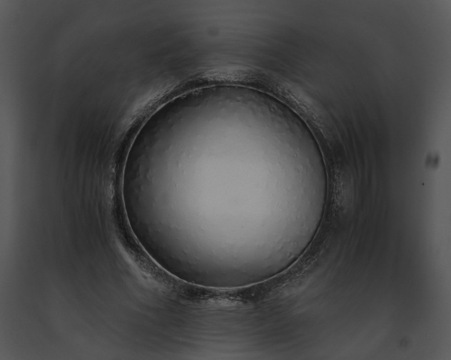 X0000091680586200708301521
