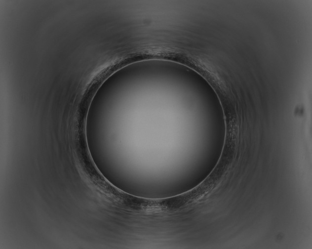 X0000091680587200708301521