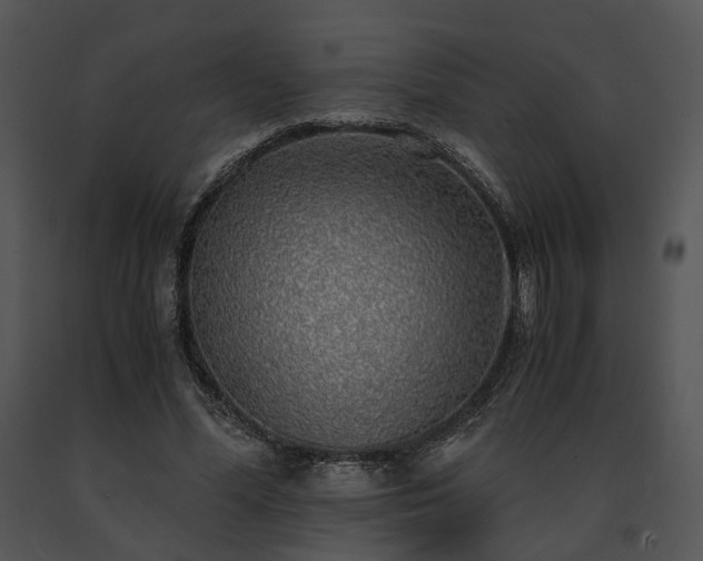X0000091680588200708301521