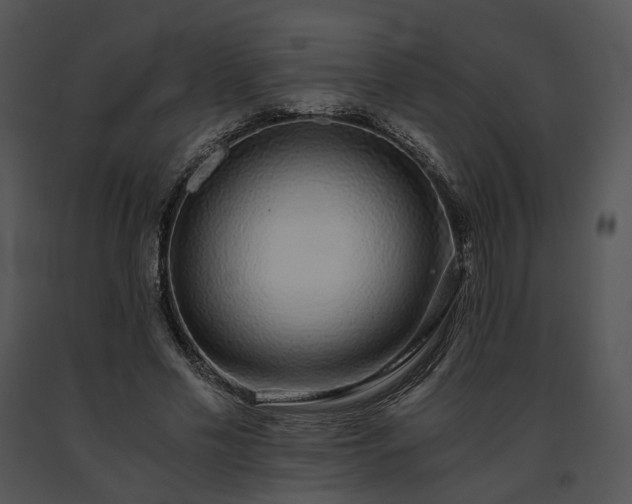 X0000091680589200708301521