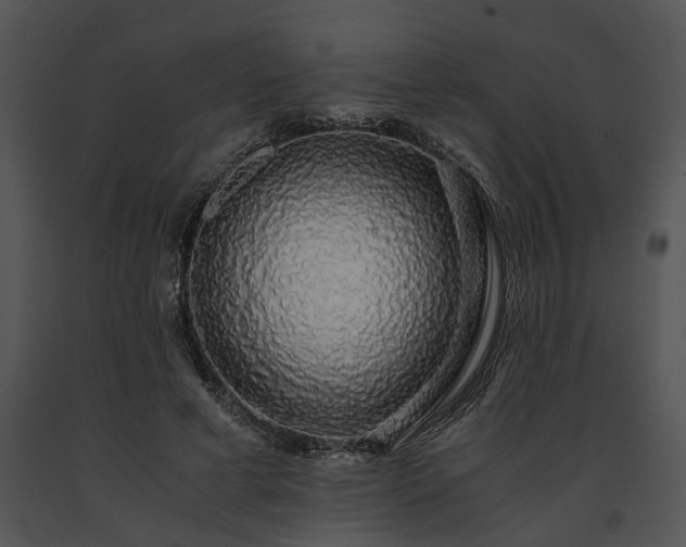 X0000091680593200708301521