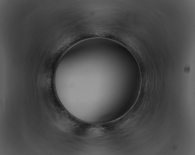 X0000091680595200708301521