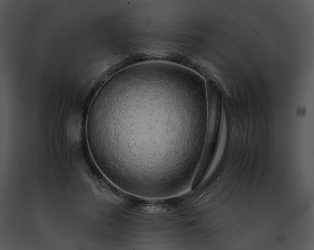 X0000091680596200708301521