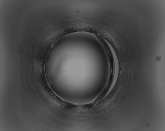 X0000091680597200708301521