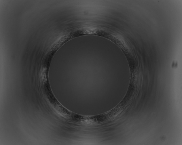 X0000091680598200708301521