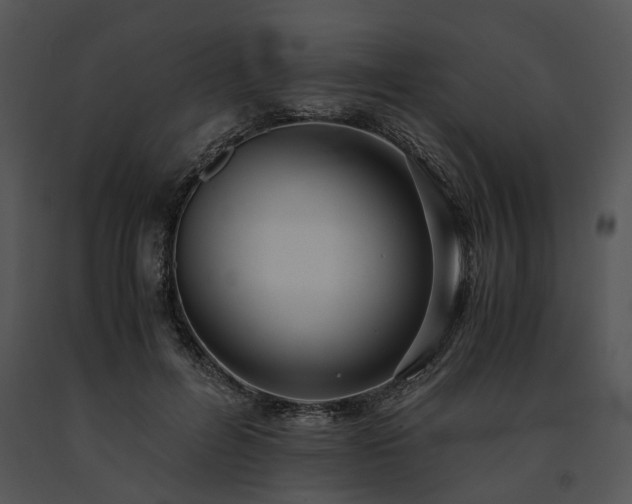 X0000091680600200708301521
