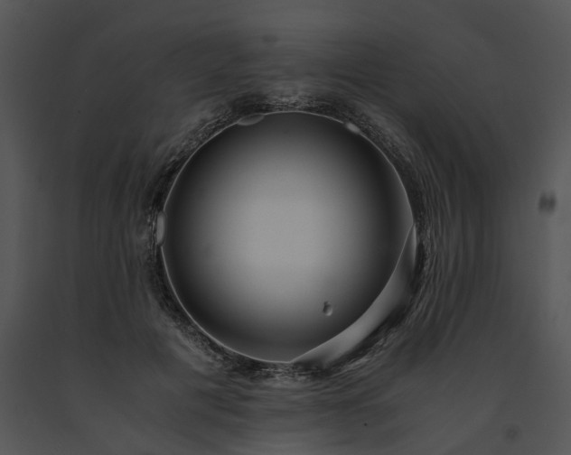 X0000091680601200708301521