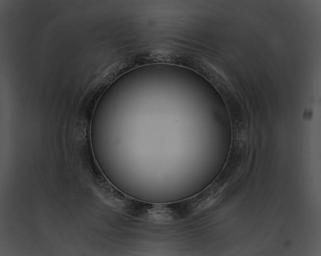 X0000091680603200708301521