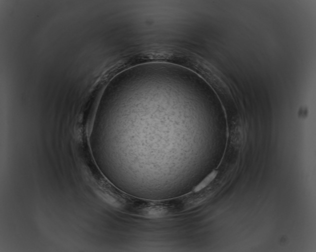 X0000091680604200708301521