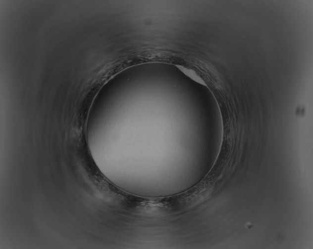 X0000091680607200708301521