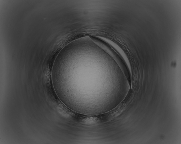 X0000091680609200708301521