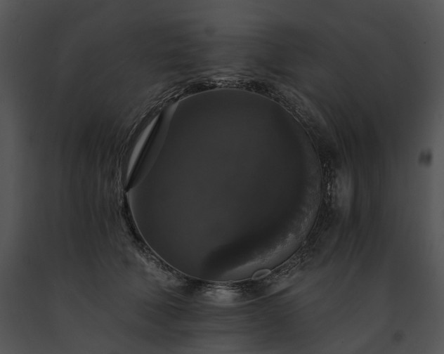 X0000091680610200708301521