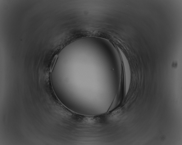 X0000091680613200708301521