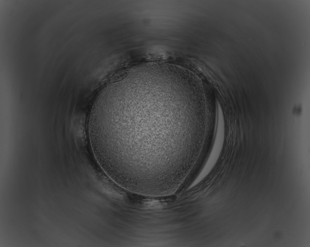 X0000091680616200708301521