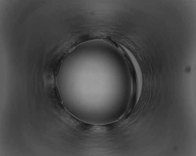 X0000091680617200708301521