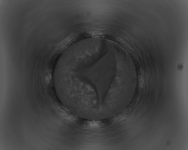 X0000091680618200708301521
