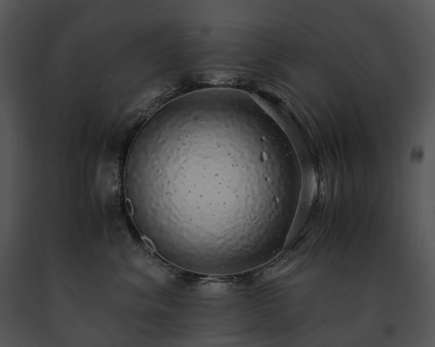 X0000091680620200708301521