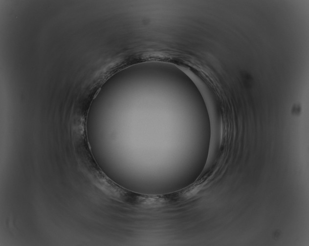 X0000091680621200708301521