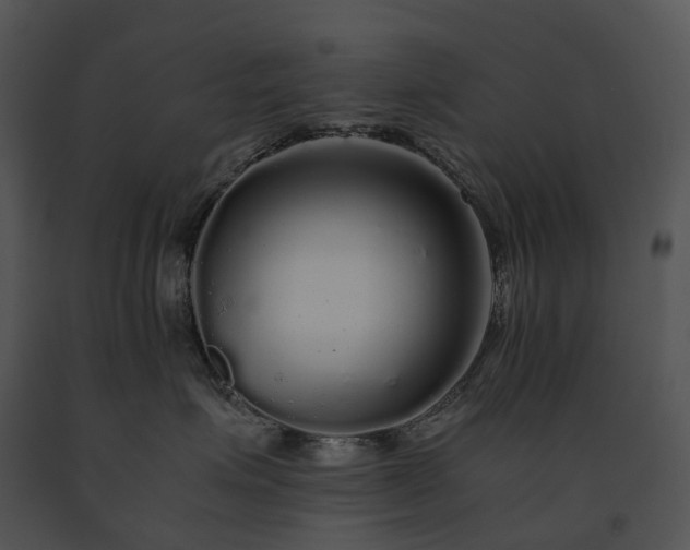 X0000091680623200708301521