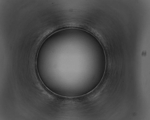X0000091680625200708301520