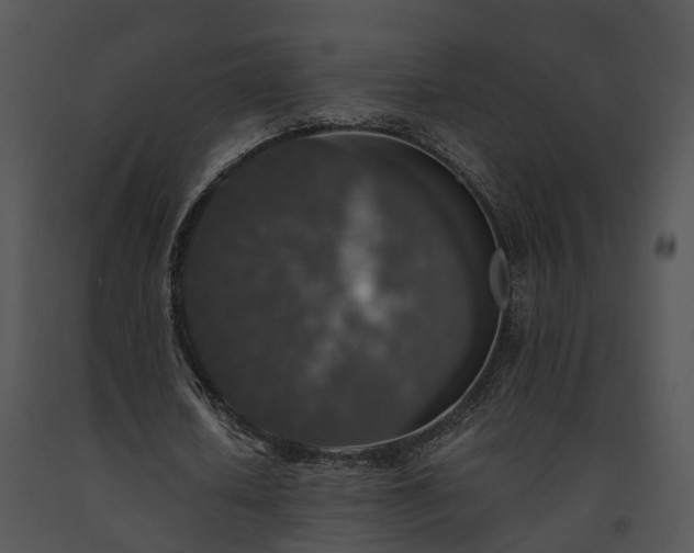X0000091680626200708301520