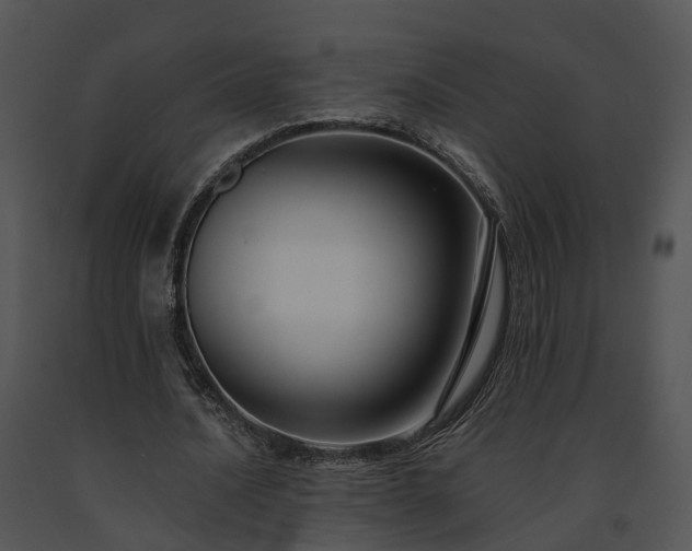 X0000091680628200708301520