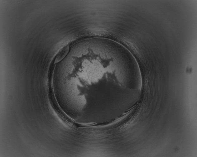 X0000091680630200708301520