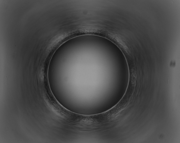 X0000091680631200708301520