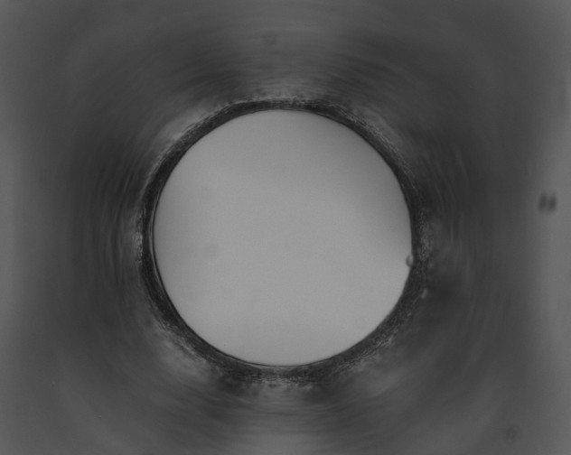 X0000091680632200708301520