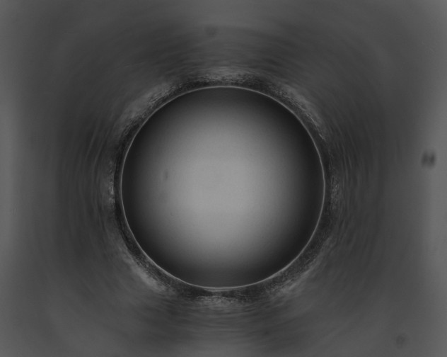 X0000091680633200708301520