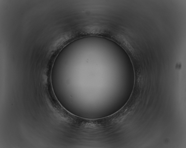 X0000091680635200708301520