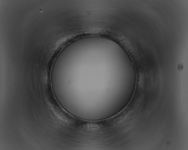 X0000091680636200708301520