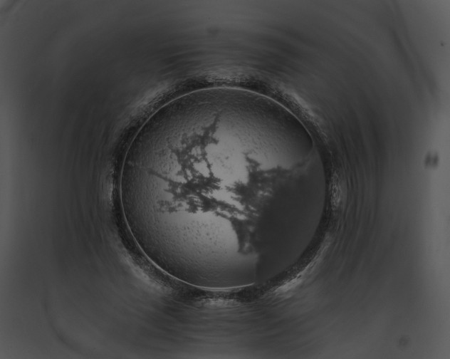X0000091680637200708301520