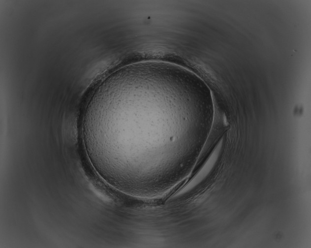 X0000091680638200708301520