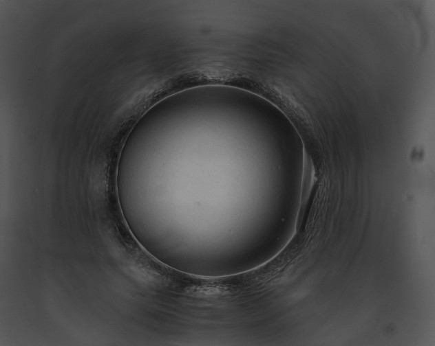 X0000091680639200708301520