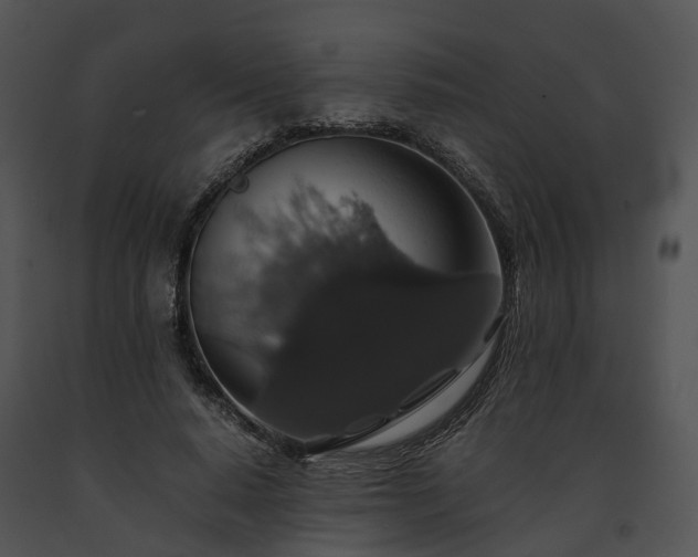 X0000091680640200708301520