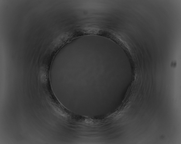 X0000091680641200708301520