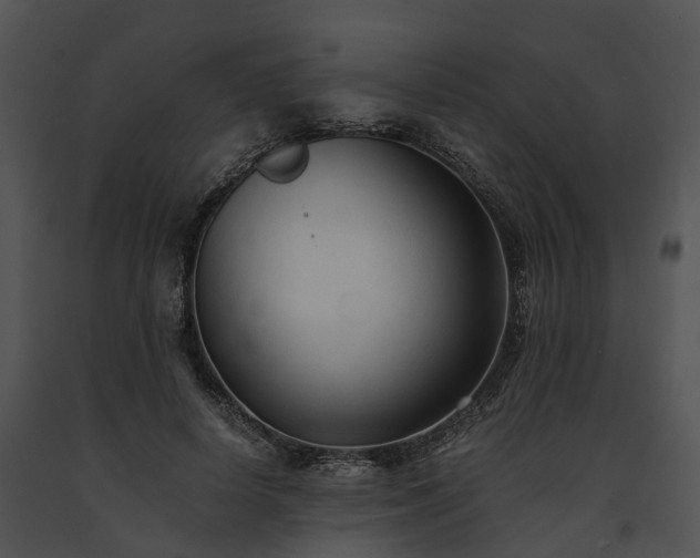 X0000091680642200708301520